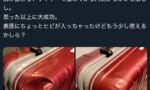 【画像】cv三石琴乃「表面にちょっとヒビが入っちゃったけどもう少し使えるかしら？」