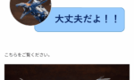 【画像】コトブキヤ「飾る場所が確保できない？大丈夫だよ！！！！」→こちらをご覧ください。